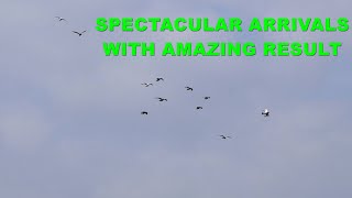 Vlog #147 SPECTACULAR ARRIVALS WITH AMAZING RESULT