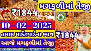 magfli ના ભાવ | 06-02-2025 | મગફળીના ભાવ:2024 |Information about Cotton Crop Price | Commodity Trend