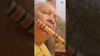 Pandit Hariprasad Chaurasia🪈#hindustanimusic #instrumentalmusic #flutemusic #fluteringtone #ytshorts