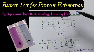 Biuret Test for Protein Estimation