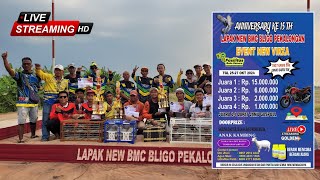 🔴LIVE FINAL NEW VERZA & FINAL BOB  LAPAK BMC BLIGO PEKAOLONGAN