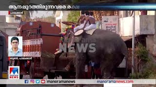 പാലക്കാട് എഴുന്നള്ളത്തിനിടെ ആന ഇടഞ്ഞു |   Palakkad Elephant