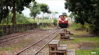 阿里山火車 鹿麻產車站待避