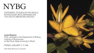 Systematic Studies in the Genus Rhynchosia with Emphasis on the South American Species