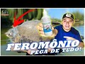 FEROMÔNIO - o atrativo que tá fazendo a festa nos pesqueiros