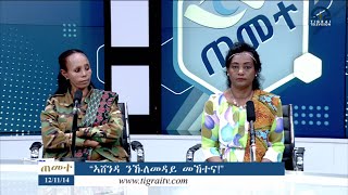 ምድላው ጠመተ 'ኣሸንዳና ንኹሉ መዳይ መኸተና' - 13  ነሓሰ  2014 ዓ/ም