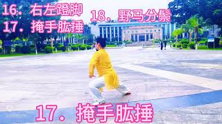 42式太极拳，16右左蹬脚，17掩手肱捶，18野马分鬃！