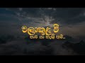 Walakula Wee Paawa Ya Haki Nam | වලාකුළ වී පාව යා හැකි නම් | Ravindu Peiris