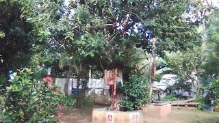 thiru murugar temple near Kudavasal Village #Kudavasal #temple #status #place #best #history