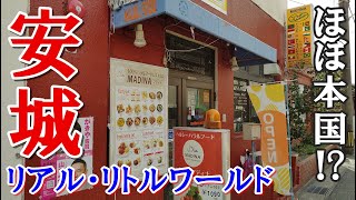 リアル・リトルワールド！【名鉄新安城駅】に世界一周を体感出来る多国籍エリアがあった！【ほぼ本国】