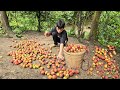 The orphan boy raised ducklings and went to the forest to pick fruit to sell to make a living