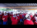 Pedyo Nemi BaBa - Ruwadzano