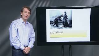 Lecture 6: Mutation and Genetic Variation