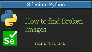 How to Find Broken Images in Selenium Python | Selenium Python Tutorial | Automation