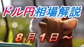 【TAKA FX】ドル円為替相場の今週の動きと来週の展望をチャートから解説。日経平均、NYダウ、金チャートも。8月1日～