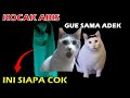 [🔴 KOCAK] Part 2 POV DITINGGAL DI RUMAH - Mamang Kurir Dan Horor - Meme Kucing POV