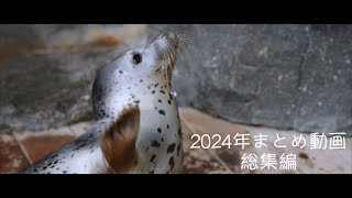 2024まとめ動画 総集編