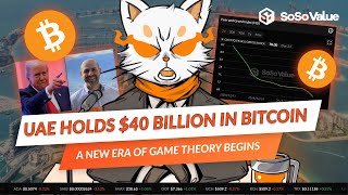 UAE Holds $40 Billion in Bitcoin: A New Era of Game Theory Begins - SoSoValue News