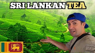 Sri Lankan Tea Plantation SPECIAL TEA Only made in Sri Lanka! 🇱🇰