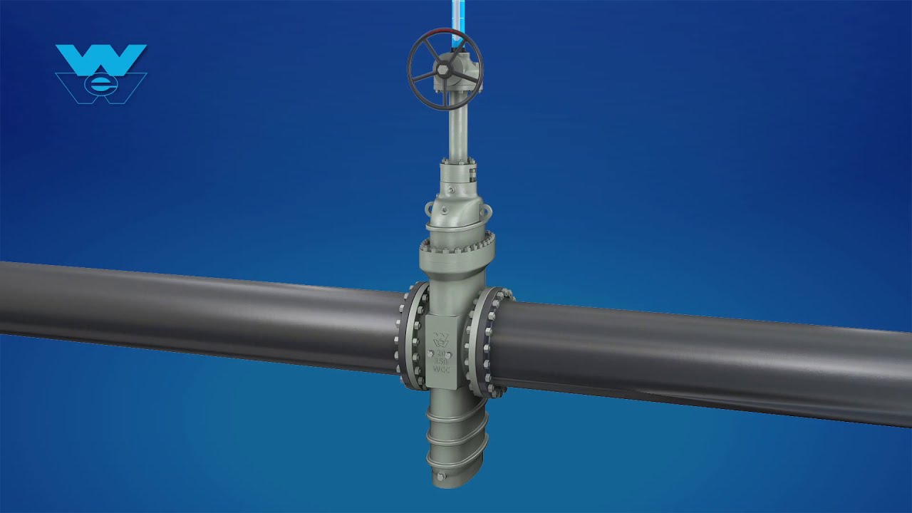 Williams Api 6d Slab Gate Valve Youtube