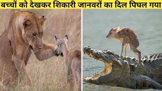 देखिये कैसे दूसरों को बचाने अपनी जान पर खेल गये ये जानवर | Animals that saved other animals