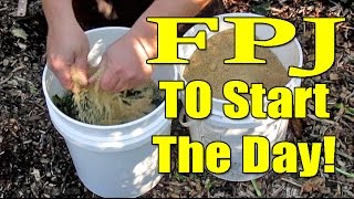 Easy Homemade Fertilizer Using Weeds \u0026 Brown Sugar | Fermented Plant Juice aka FPJ