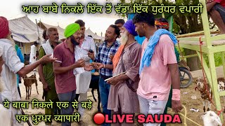 ਆਹ ਬਾਬੇ ਨਿਕਲੇ ਇੱਕ ਤੋਂ ਵੱਡਾ ਇੱਕ ਧੁਰੰਧਰ ਵਪਾਰੀ #live_sauda tungwali bakra mandi @FarmingbabaPunjab