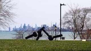 Evolved robots are born to run, refuse to die