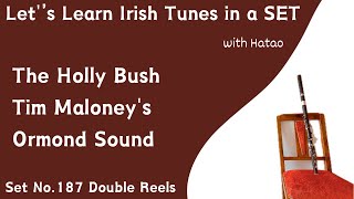 Set 187 The Holly Bush - Tim Maloney's - Ormond Sound (Double Reels)