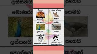 කොහෙන් බැලුවත් පිරිමි ලස්සන😜😜😜😜