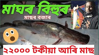 Magh Bihu fish market Buraburi // বোৰাবোৰিত মাঘ বিহুৰ বৃহৎ মাছৰ বজাৰ