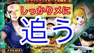 ピックアップサポート祭　しっかり目に引いた結果、、【トレクル　OPTC  ONE PIECE】