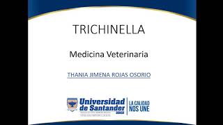 Trichinella - Parasitologia Veterinaria
