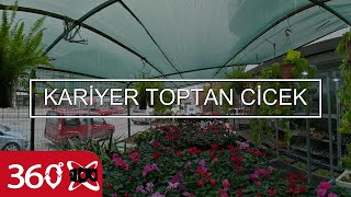 KARİYER TOPTAN CİCEK