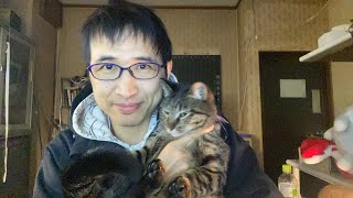 外出自粛の暇つぶしにどうぞ　Live猫のいる談話室