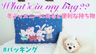年パス歴12年がおすすめ！冬ディズニーにあると便利な持ち物紹介♪〜What's in my bag??〜バッグの中身