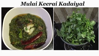 Mulai Keerai Kadaiyal(Easy \u0026 Tasty)முளைக் கீரை கடையல்