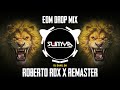 ROBERTO RDZ X REMASTER - (EDM DROP MIX) | DJ SAHIL SH | SUMYA SD