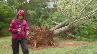 Greensboro Ian damage: Down trees and power outages