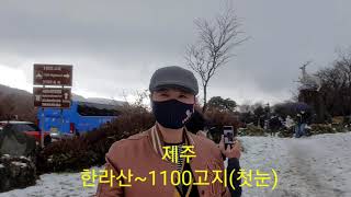 2021.11.10#첫눈#한라산1100고지#제주도#송광호TV