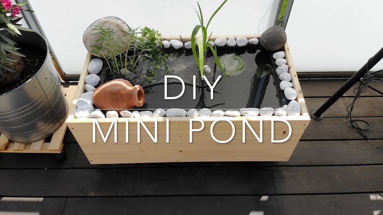 Diy Mini Pond Youtube