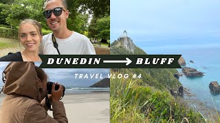 Dunedin to Bluff | On the hunt of Sea lions and Elephant Seals