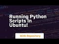 Running python scripts in ubuntu!
