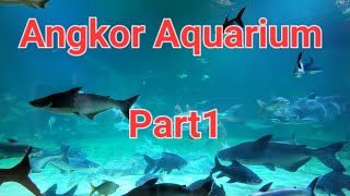 Angkor Aquarium | Siem reap Aquarium | អាងត្រីខេត្តសៀមរាប Part 1