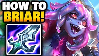 BRIAR Jungle how to CARRY | Season 14.14