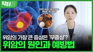 위암 발병률 1위인 대한민국, 위 건강 이렇게 챙기세요! 🩺ㅣ닥터후(後) EP.19 위암 편