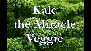 Kale the Miracle Vegetable