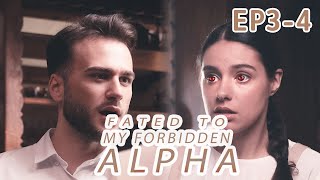 You will address me as Alpha! Why won't you call me Alpha? |【Fated to My Forbidden Alpha】 EP03-EP04