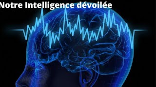 Le Cerveau -  Notre Intelligence dévoilée - Documentaire Scientifique