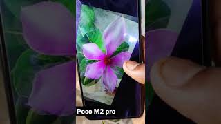 Poco M2 pro camera test | Poco M2 pro review | Poco M2 pro camera review